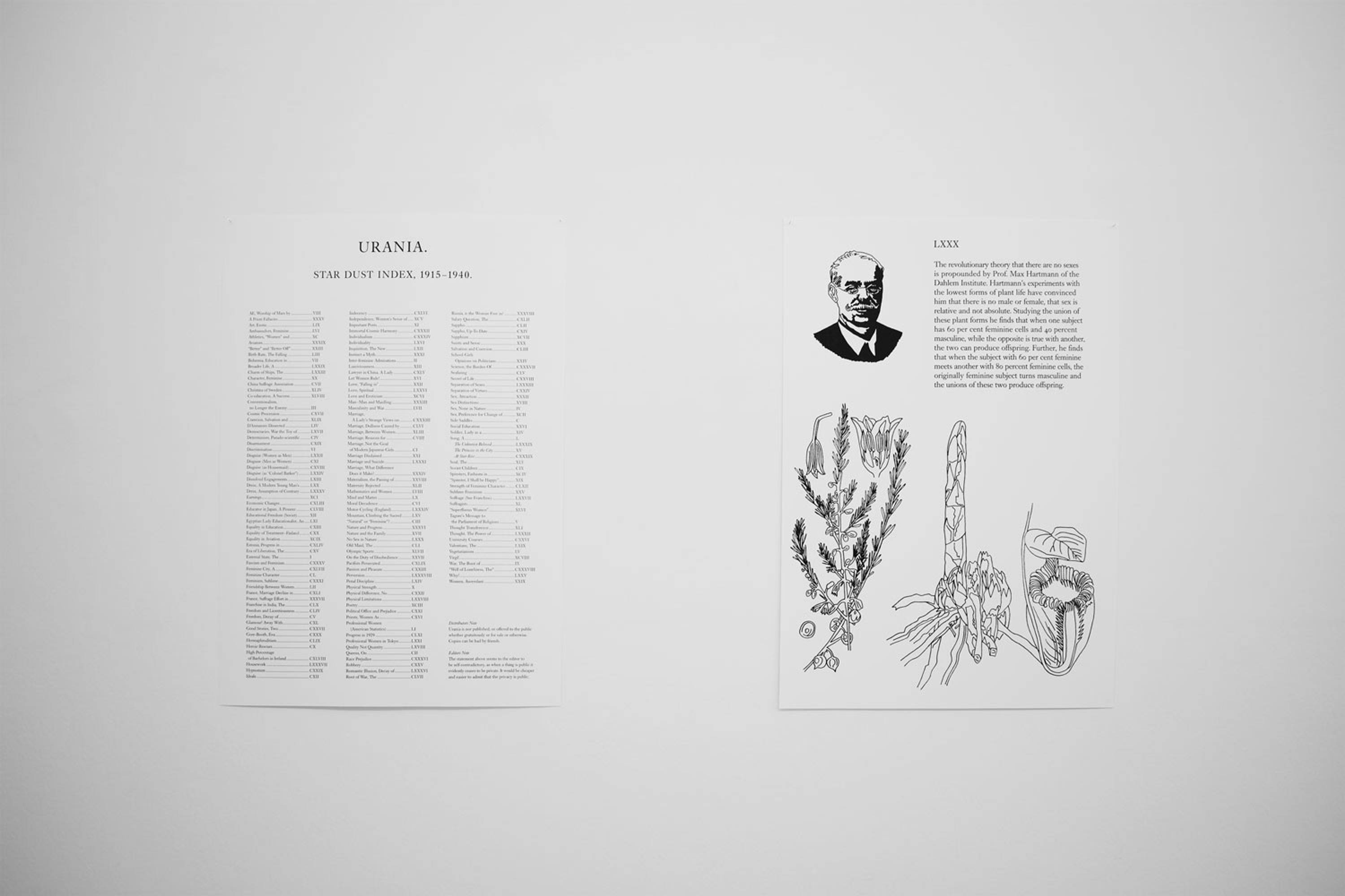 Olivia Plender, Many Maids Make Much Noise, Exhibition view at ar/ge kunst Bolzano, Foto aneres,2015