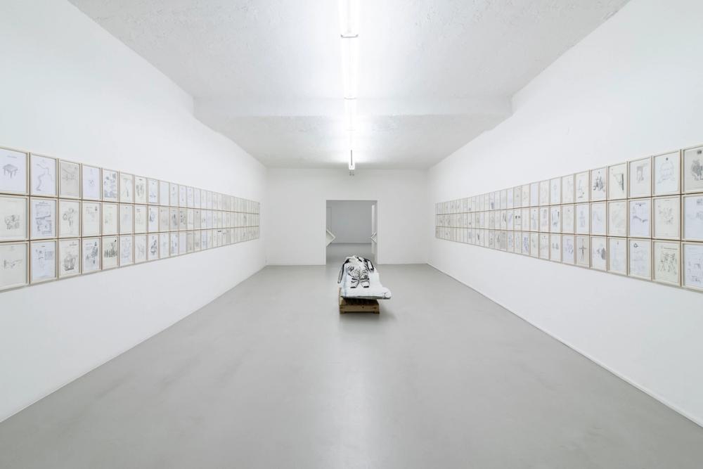 ©ar/ge kunst, Buchhandlung Kalter König, Sven Sachsalber, installation view, foto Tiberio Sorvillo, 2018