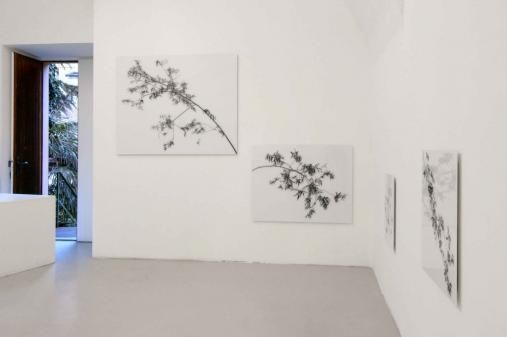 Exhibition view, Karl Unterfrauner, 2005