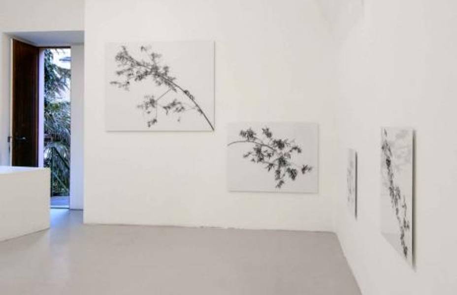 Exhibition view, Karl Unterfrauner, 2005