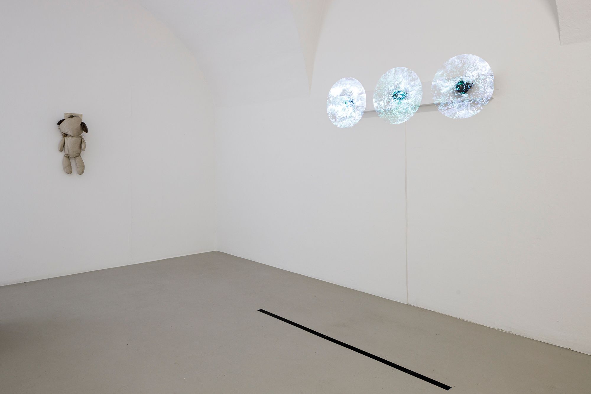 Dorota Gawęda and Eglė Kulbokaitė, Gusła (431679f36c3bbeec), 2020 and Kratt (IV), 2021, courtesy of the artist. Photo Tiberio Sorvillo, ©ar/ge kunst, 2022