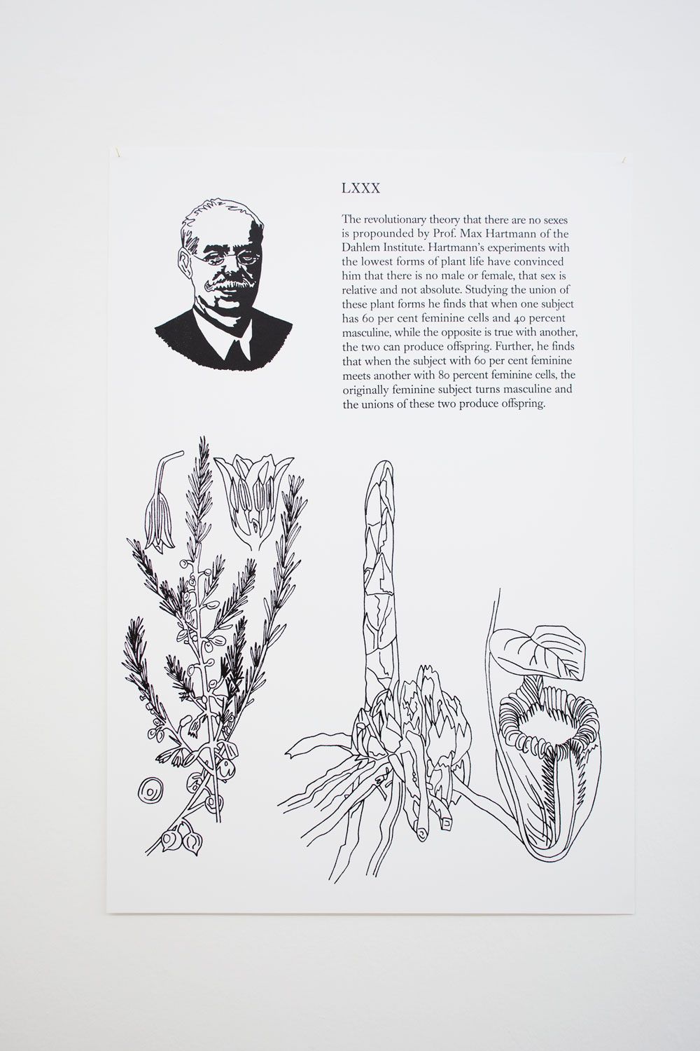 Olivia Plender, Many Maids Make Much Noise, Exhibition view at ar/ge kunst Bolzano, Foto aneres,2015