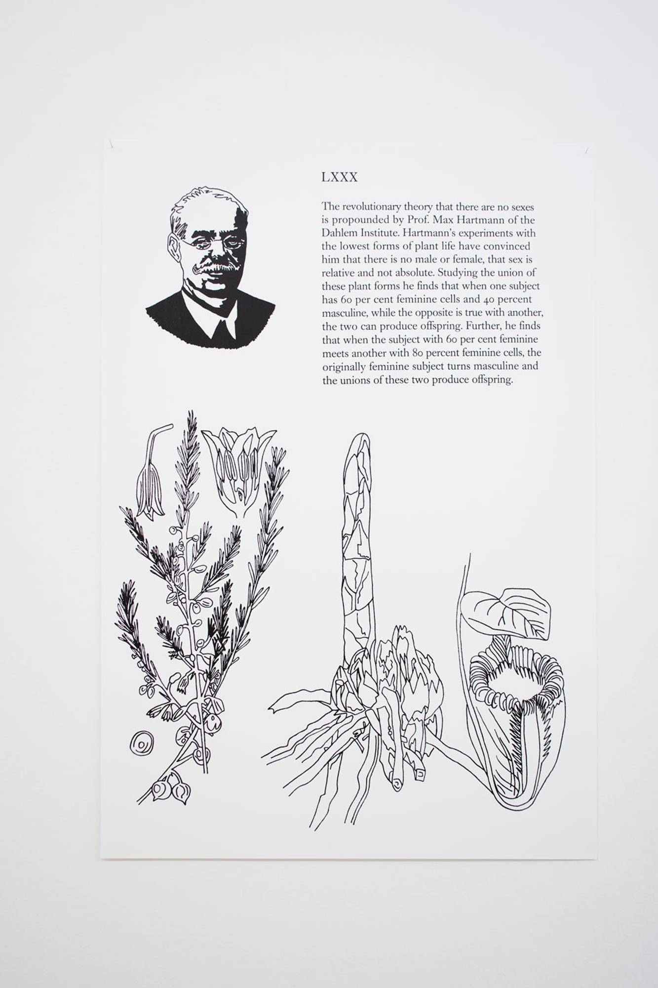 Olivia Plender, Many Maids Make Much Noise, Exhibition view at ar/ge kunst Bolzano, Foto aneres,2015