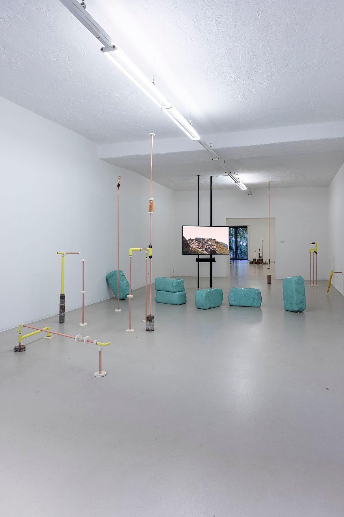 Katrin Hornek, Plant Plant, exhibition view, ©ar/ge kunst and BAU, photo Luca Guadagnini, 2021