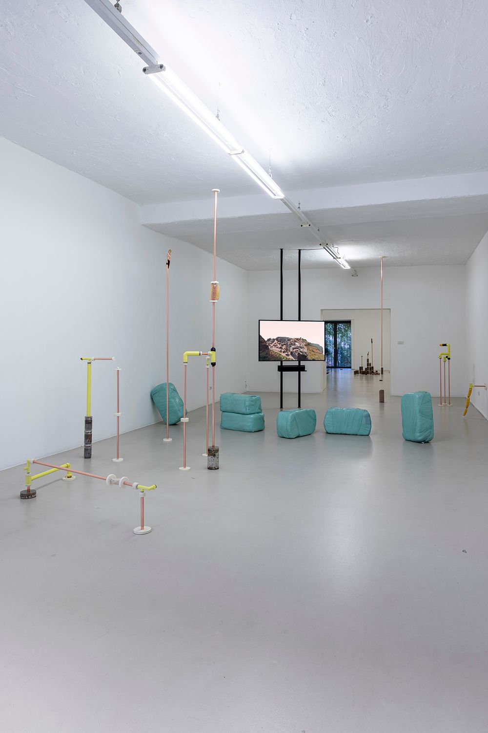 Katrin Hornek, Plant Plant, exhibition view, ©ar/ge kunst and BAU, photo Luca Guadagnini, 2021