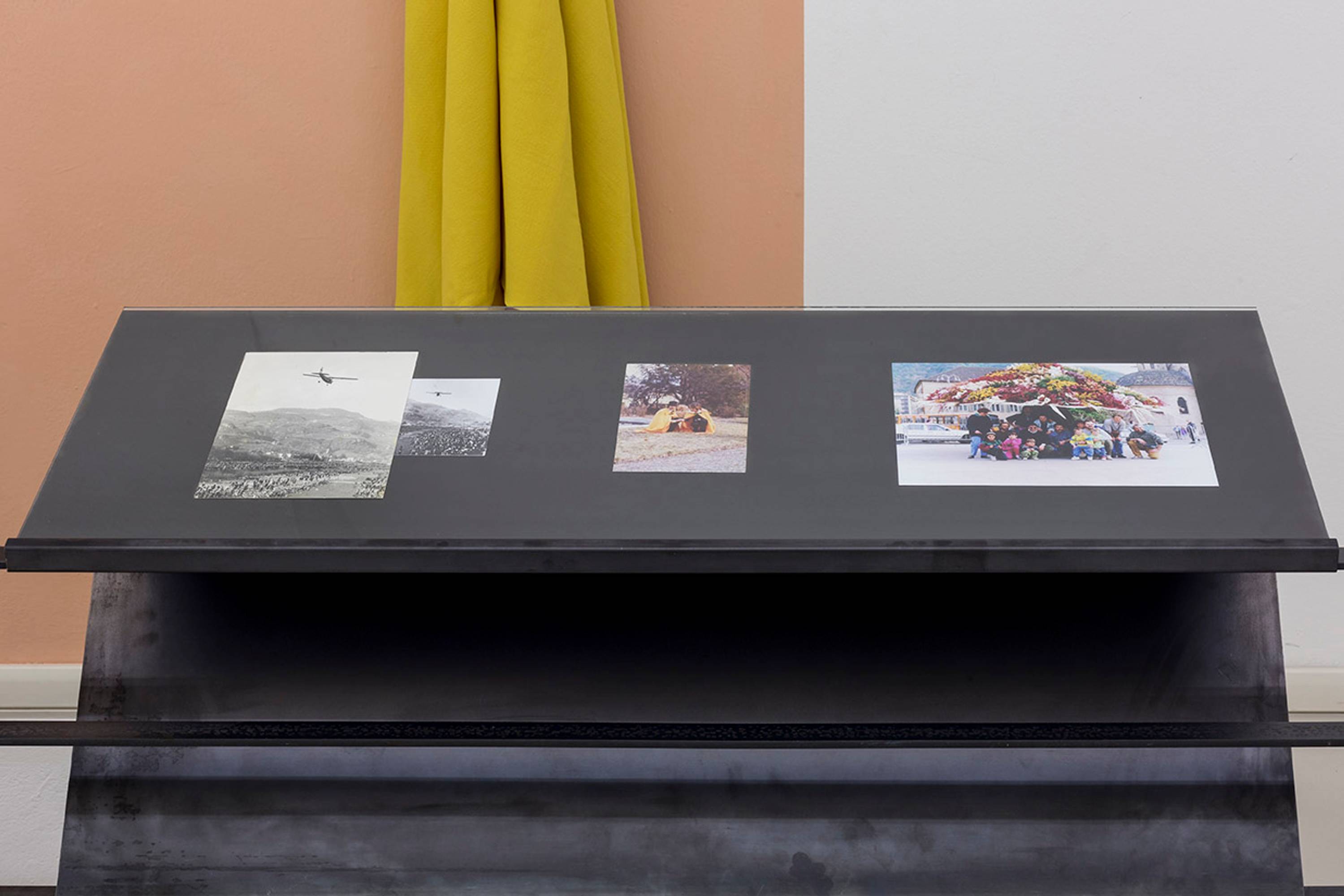 Paul Thuile, selection of the exhibition Serra III, curated by Paul Thuile at Gärtnerei Schullian Floricultura, courtesy Toni Psenner. Photo Guadagnini ©argekunst