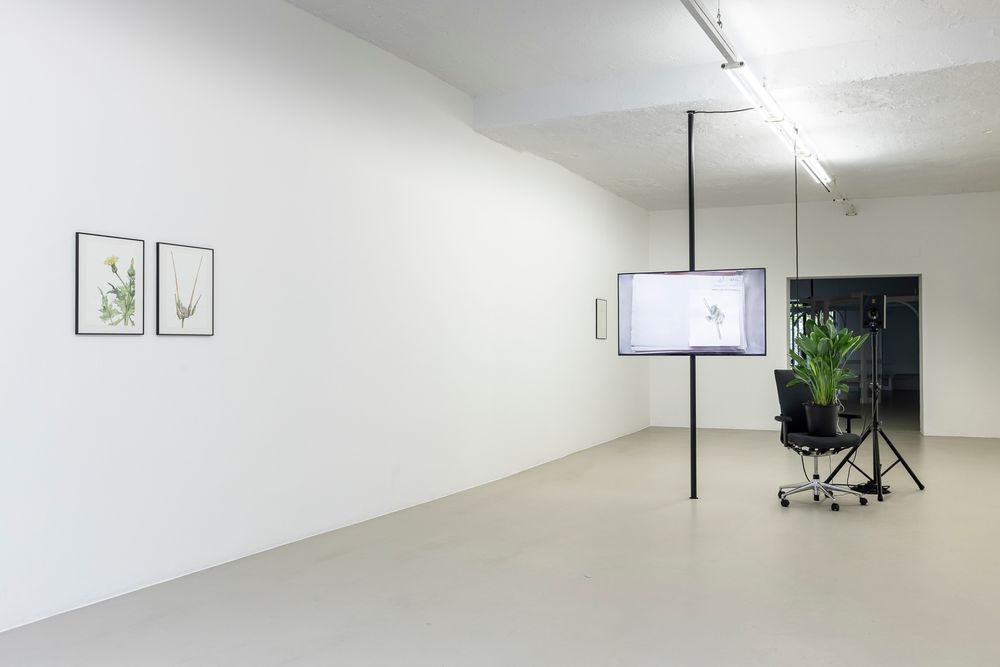Mohamed Bourouissa „Brutal Family Roots“©ar/ge kunst, Foto Tiberio Sorvillo, 2020