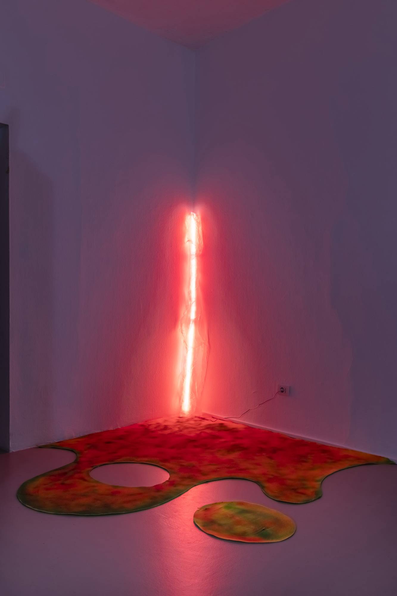 second phase, installation view of the exhibition “Temporary Lovers” by Parasite 2.0 © ar/ge kunst. Foto: Luca Guadagnini