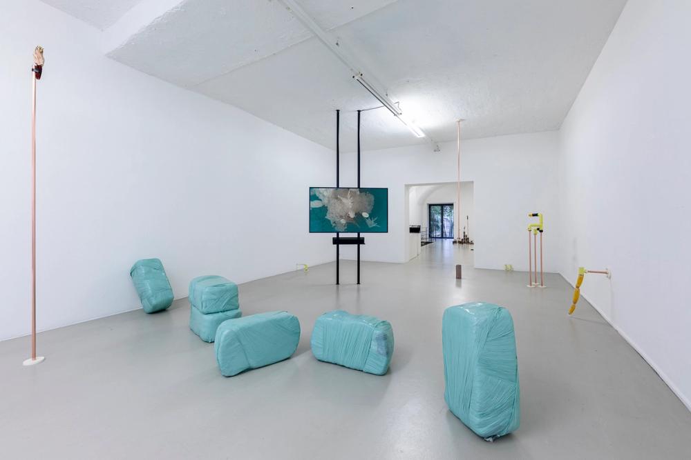 Katrin Hornek, Plant Plant, exhibition view, ©ar/ge kunst and BAU, photo Luca Guadagnini, 2021