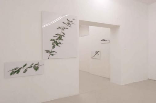 Exhibition view, Karl Unterfrauner, 2005