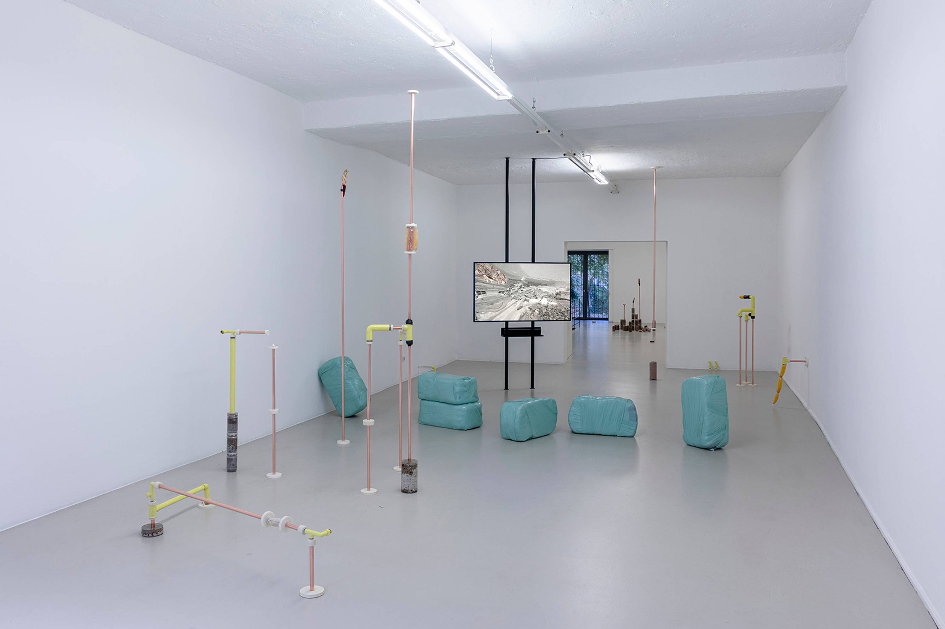 Katrin Hornek, Plant Plant, exhibition view, ©ar/ge kunst and BAU, photo Luca Guadagnini, 2021