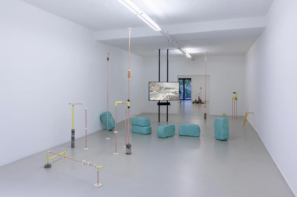 Katrin Hornek, Plant Plant, exhibition view, ©ar/ge kunst and BAU, photo Luca Guadagnini, 2021