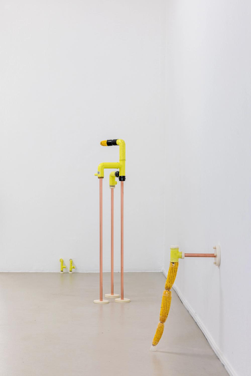 Katrin Hornek, Plant Plant, exhibition view, ©ar/ge kunst and BAU, photo Luca Guadagnini, 2021