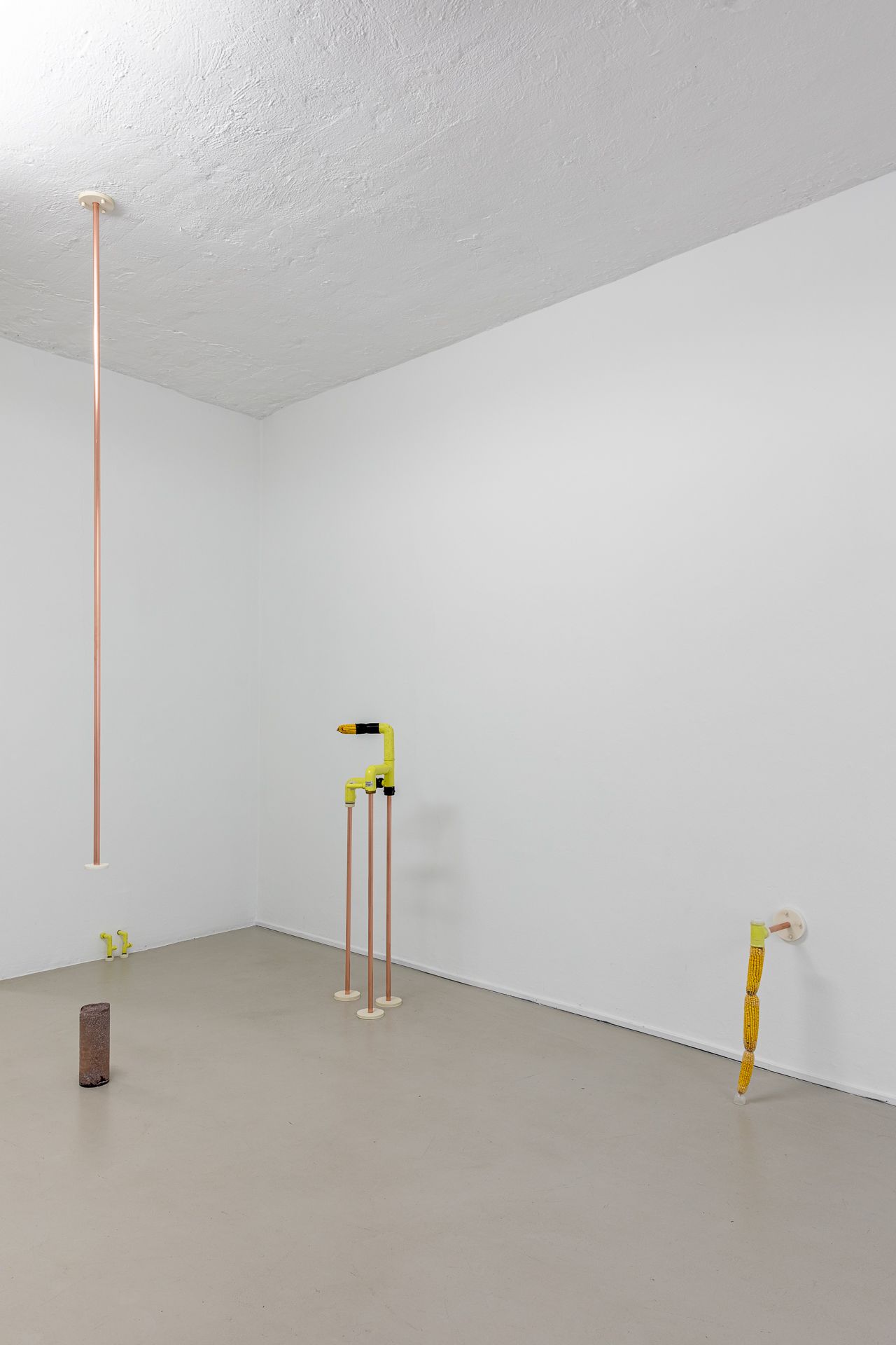 Katrin Hornek, Plant Plant, exhibition view, ©ar/ge kunst and BAU, photo Luca Guadagnini, 2021