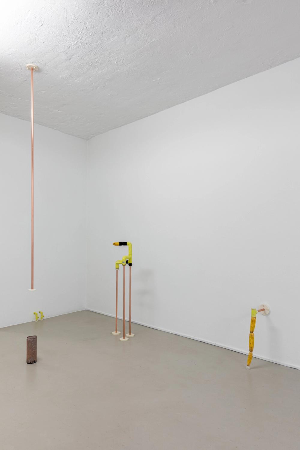 Katrin Hornek, Plant Plant, exhibition view, ©ar/ge kunst and BAU, photo Luca Guadagnini, 2021