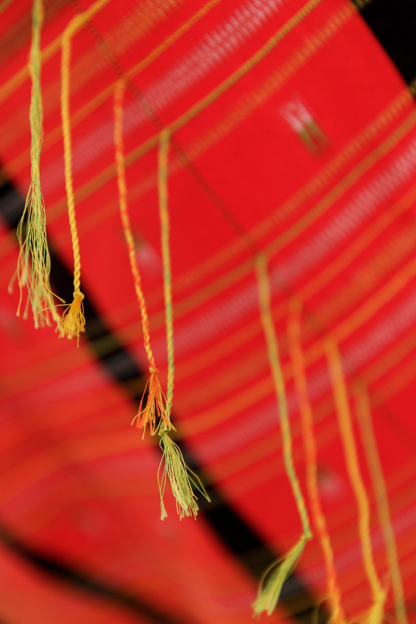 The Scorched Earthly, A sit-in. © Tiberio Sorvillo