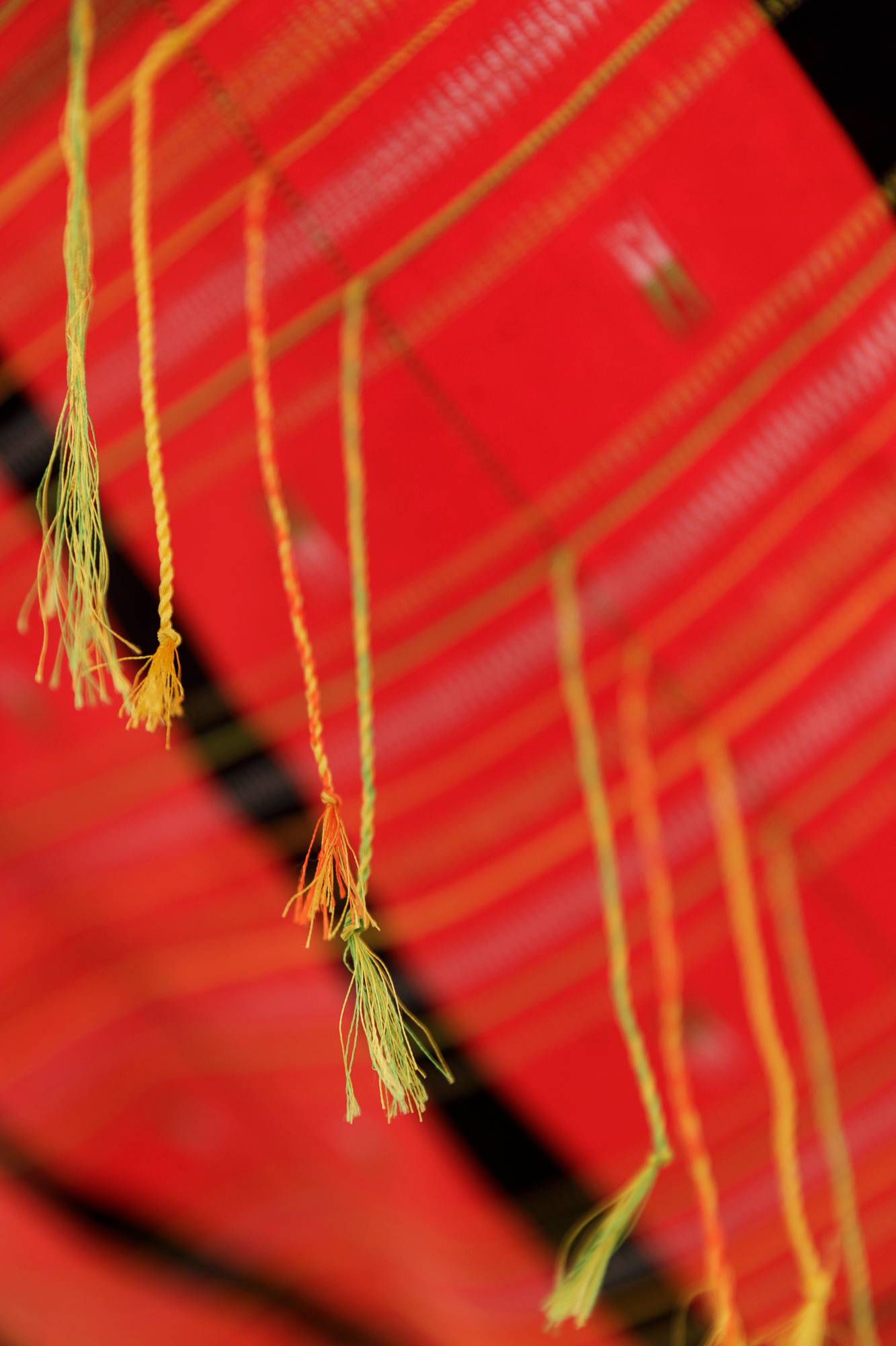 The Scorched Earthly, A sit-in. © Tiberio Sorvillo