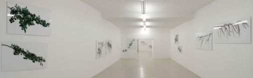 Exhibition view, Karl Unterfrauner, 2005