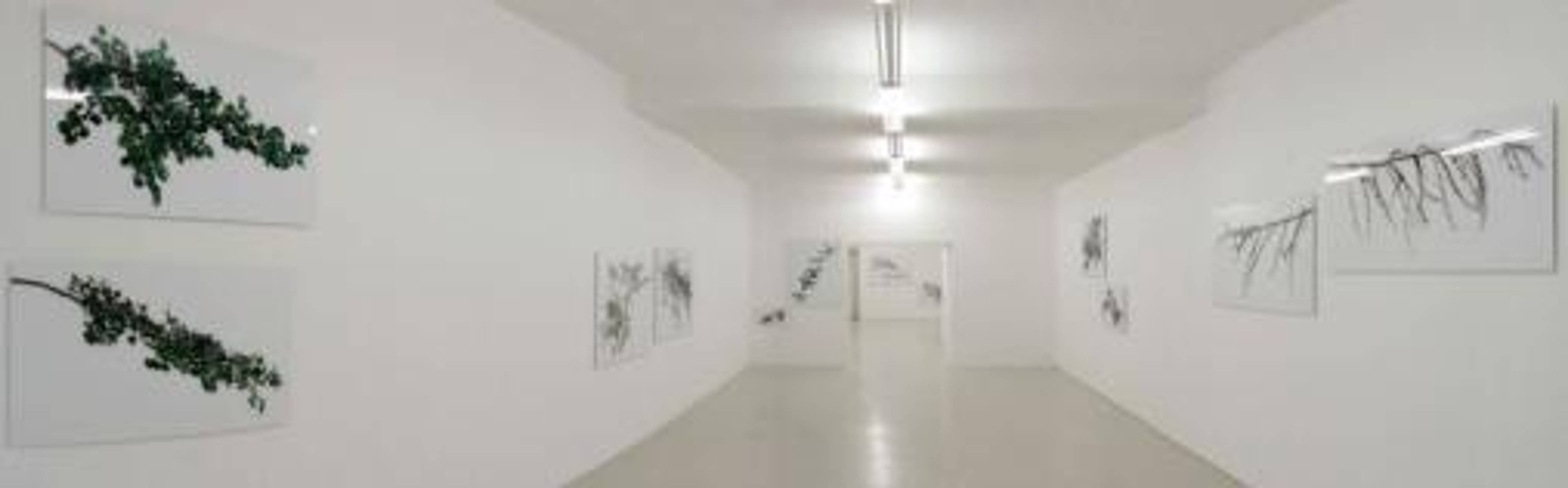 Exhibition view, Karl Unterfrauner, 2005