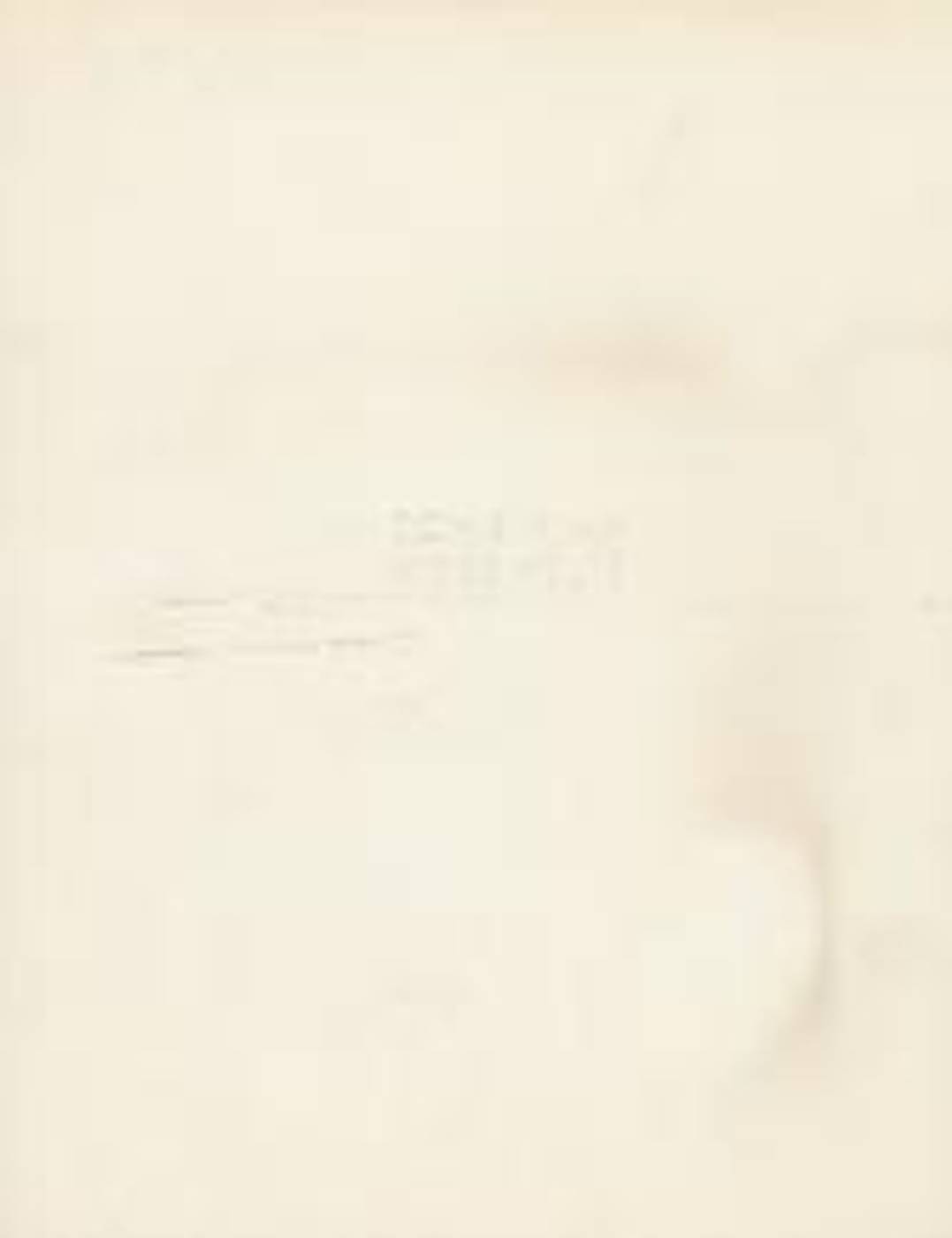 TONE FINK – WEISS HEUTE