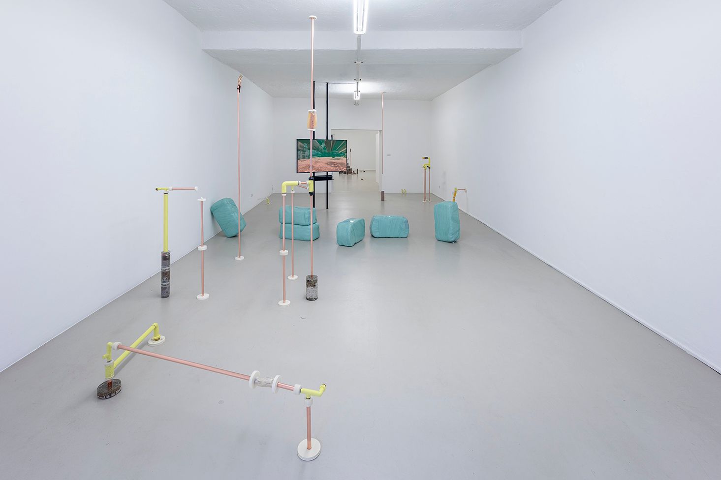 Katrin Hornek, Plant Plant, exhibition view, ©ar/ge kunst and BAU, photo Luca Guadagnini, 2021