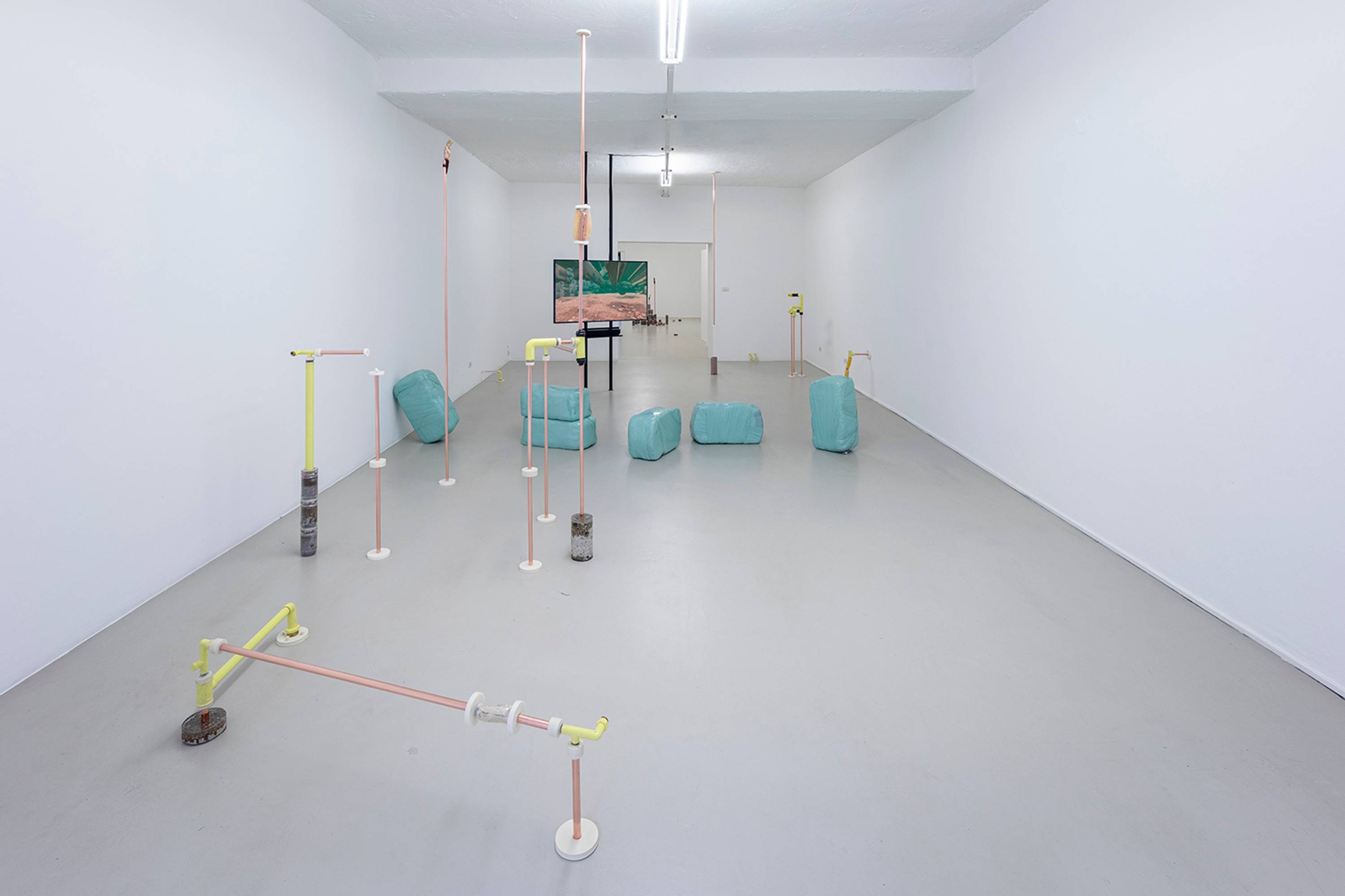 Katrin Hornek, Plant Plant, exhibition view, ©ar/ge kunst and BAU, photo Luca Guadagnini, 2021