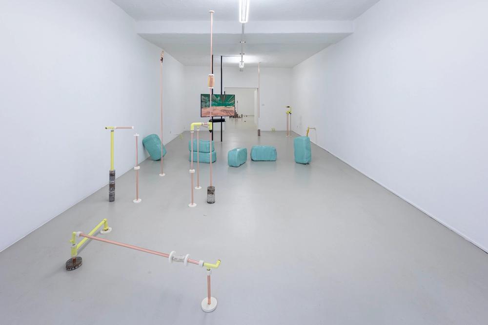 Katrin Hornek, Plant Plant, exhibition view, ©ar/ge kunst and BAU, photo Luca Guadagnini, 2021