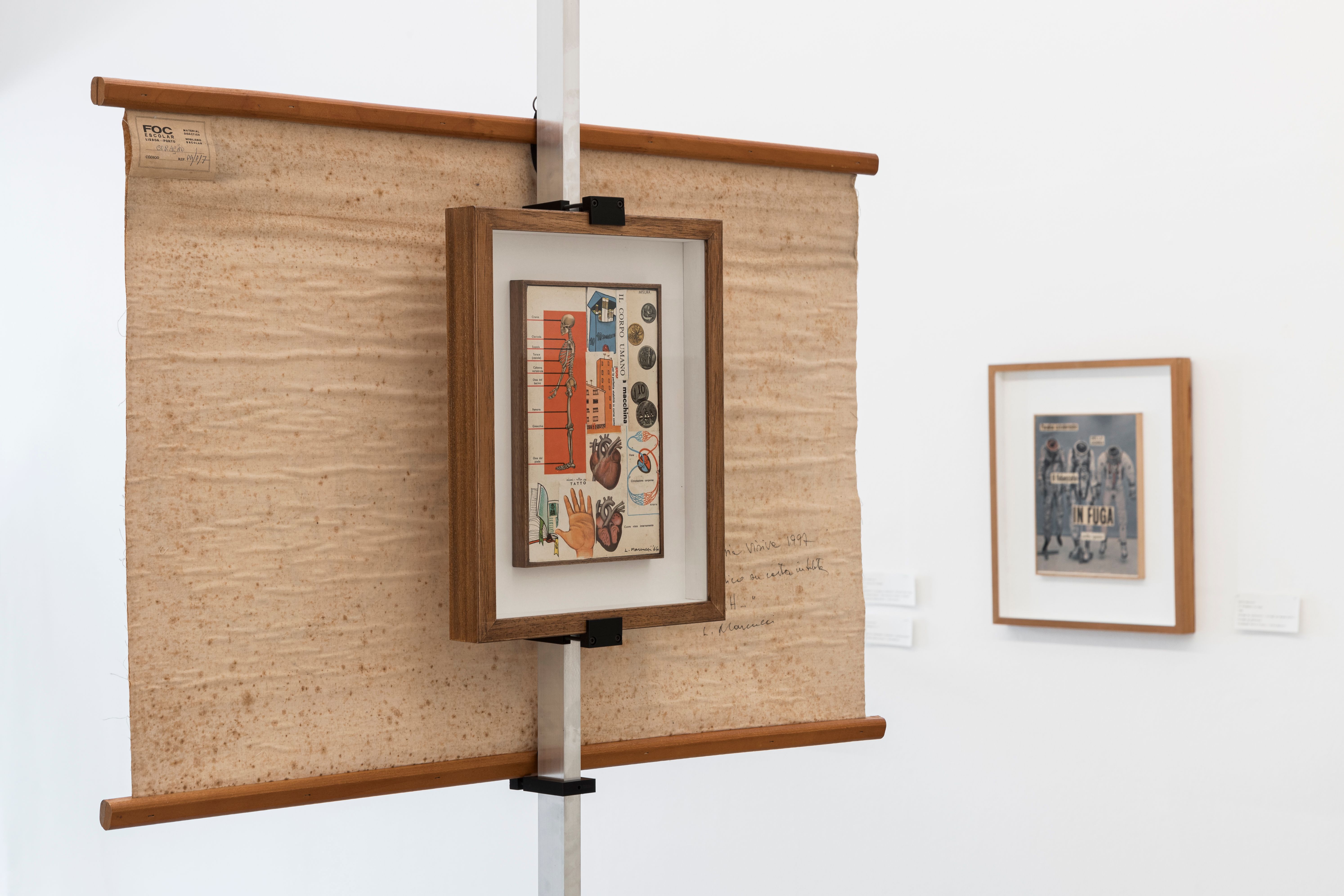 Lucia Marcucci, L'Offesa. Exhibition view. © Tiberio Sorvillo