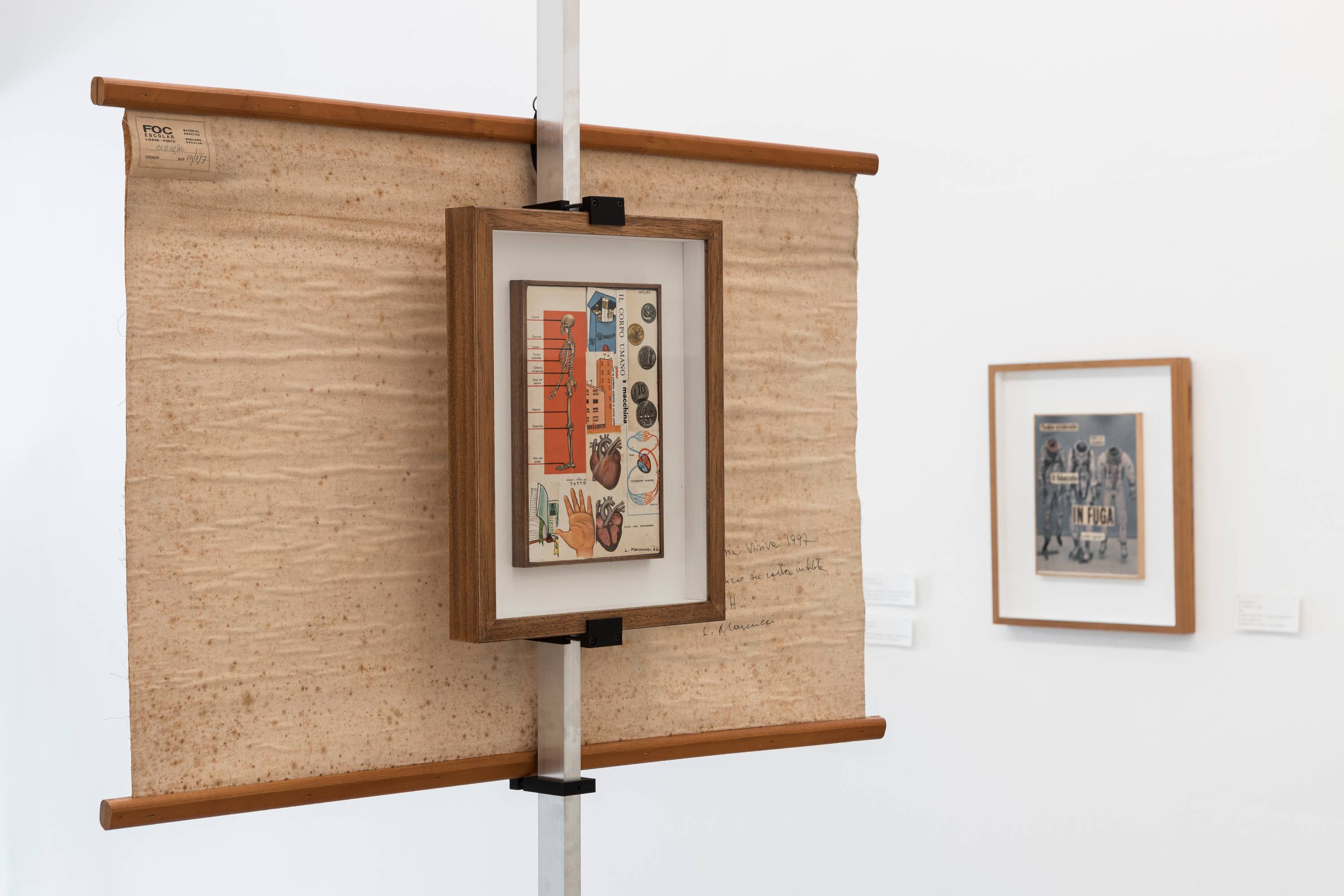 Lucia Marcucci, L'Offesa. Exhibition view. © Tiberio Sorvillo