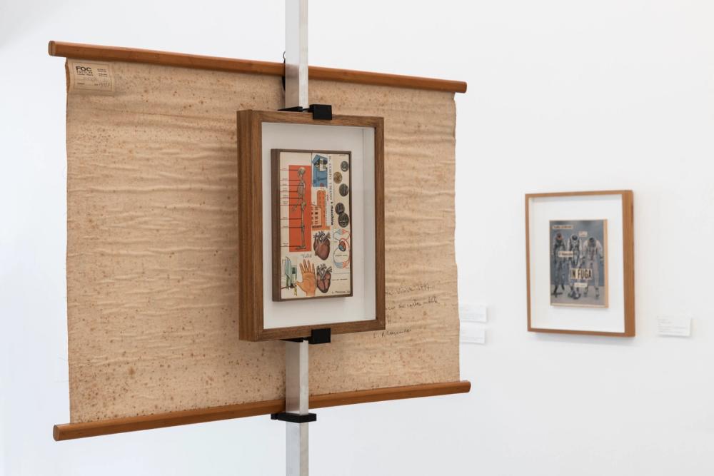 Lucia Marcucci, L'Offesa. Exhibition view. © Tiberio Sorvillo