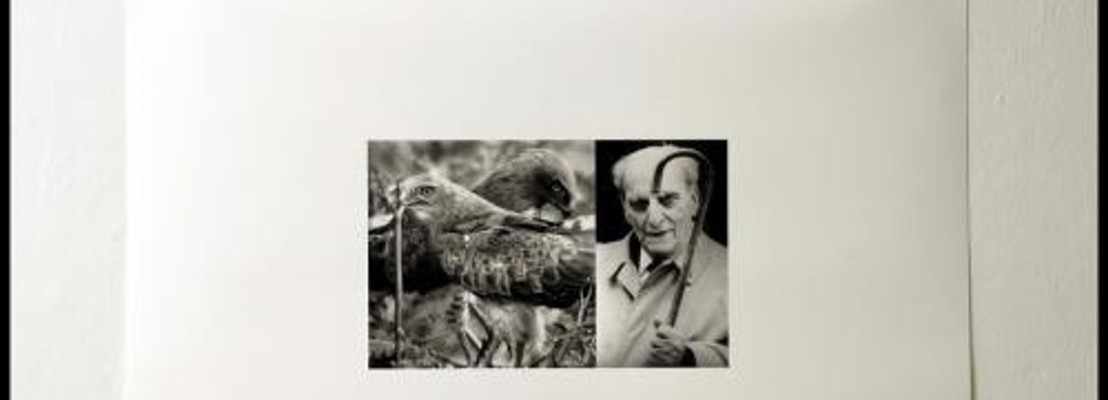 Exhibition view, Roberto Ago, Senza titolo, 2008 Courtesy  the artist Photo: Ivo Corrà