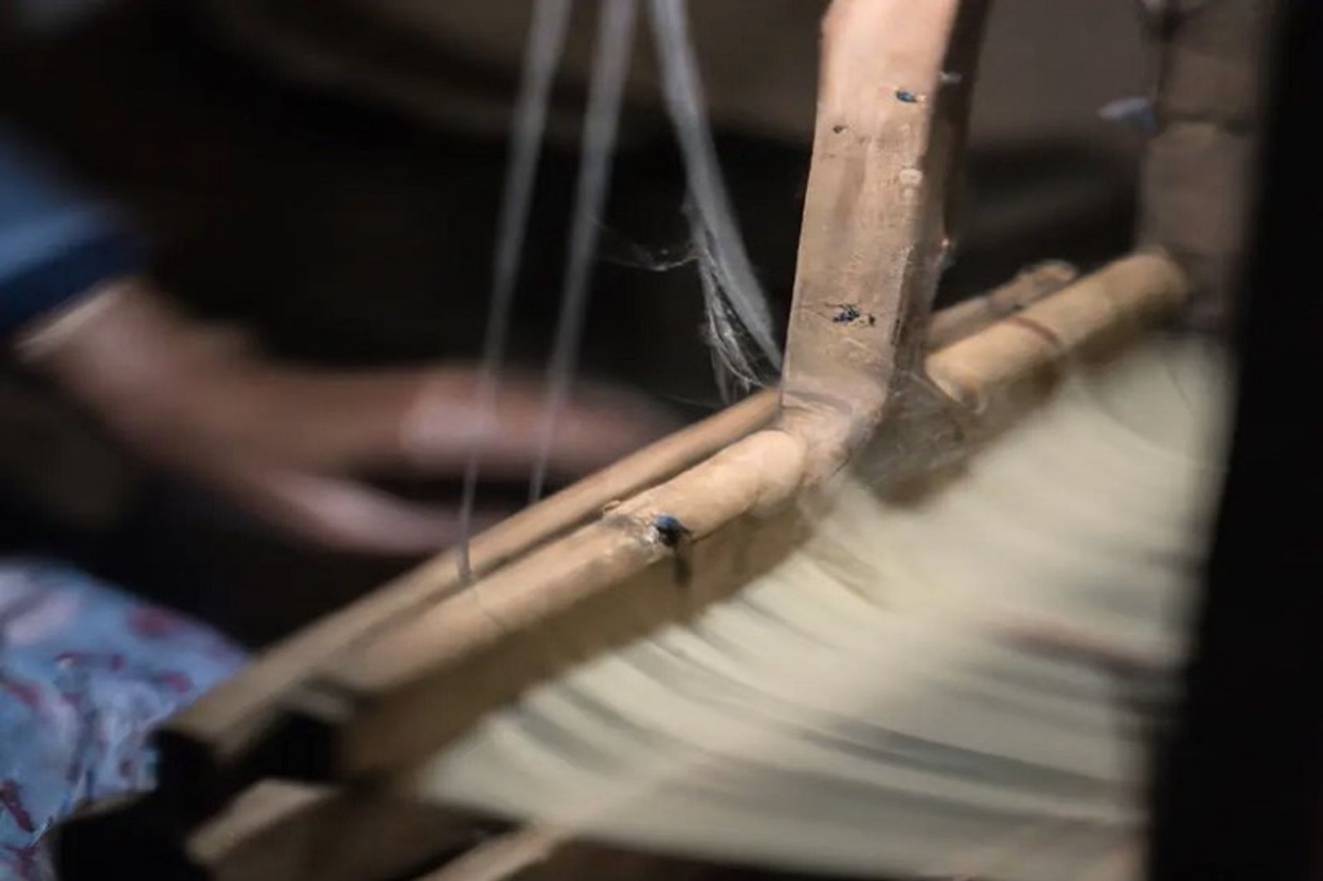 filato della fibra di seta