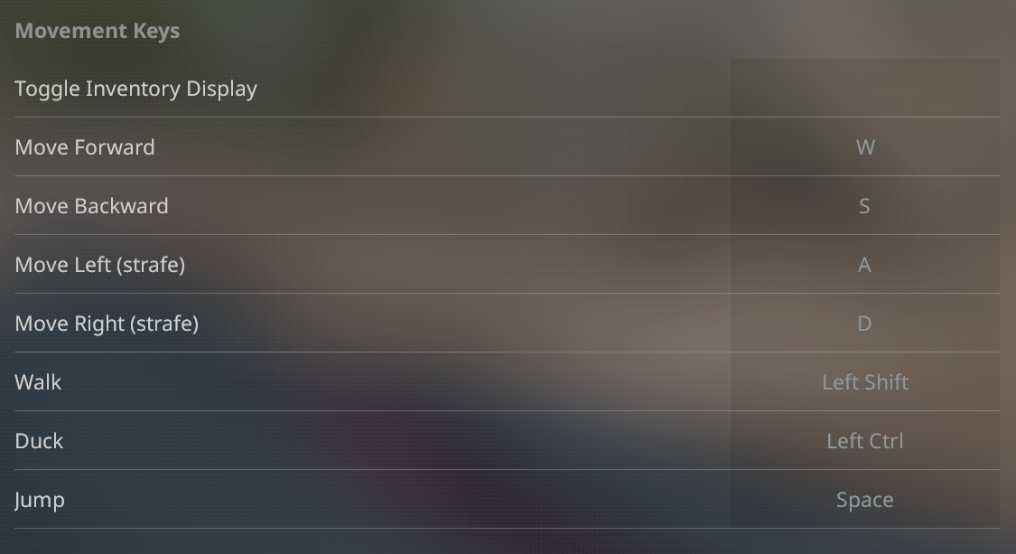 An Overview of the Best Keybinds For CS2 | Dignitas