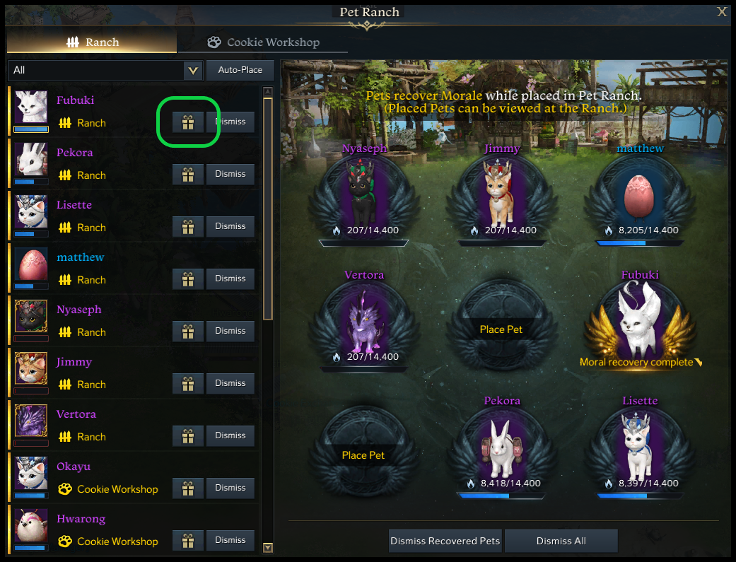 Everything You Should Know About Pet Ranch in Lost Ark | Dignitas