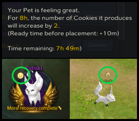 Everything You Should Know About Pet Ranch in Lost Ark | Dignitas