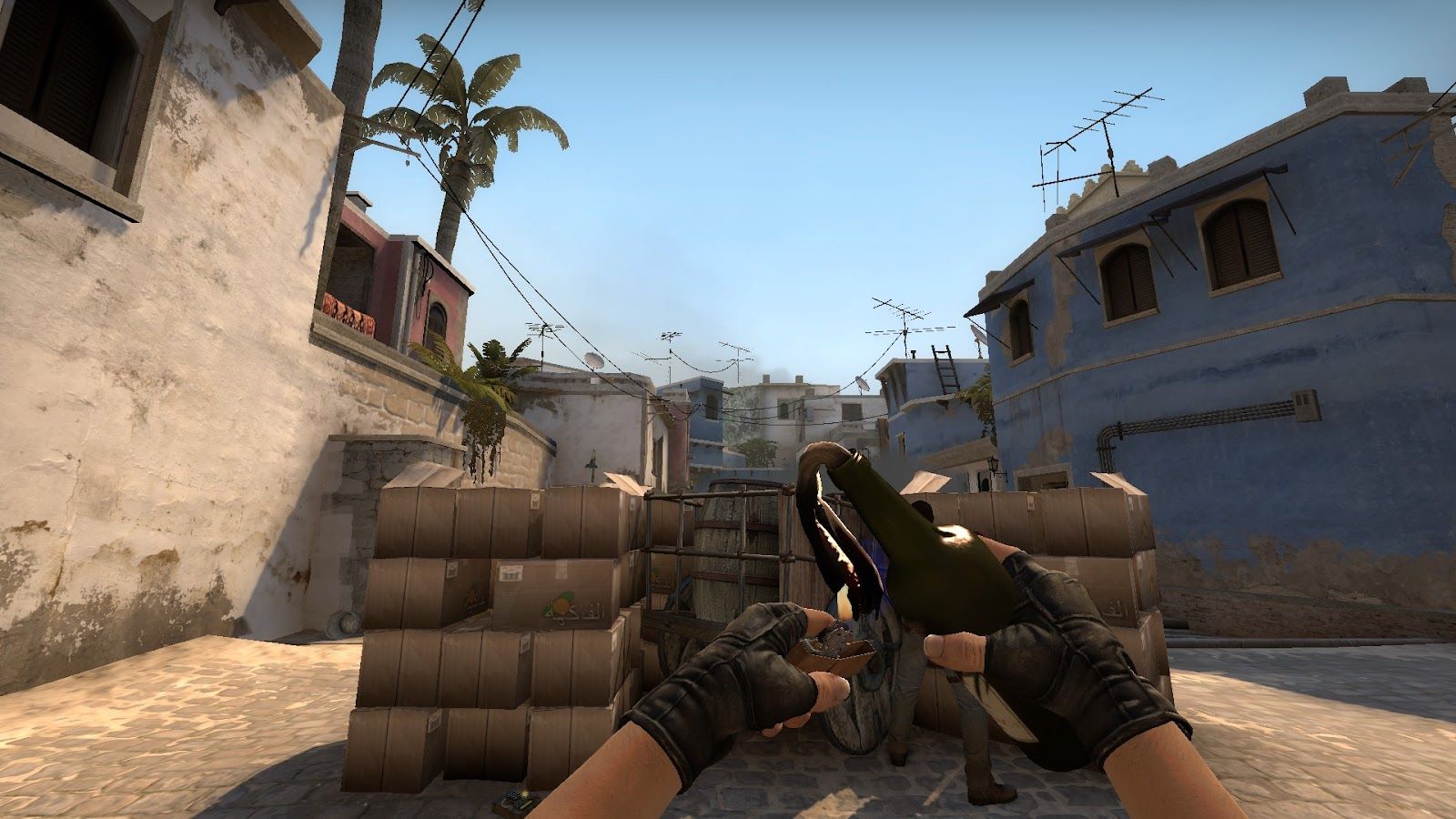 Support Like a Pro: Elevate Your CSGO Game Without Taking Center Stage
