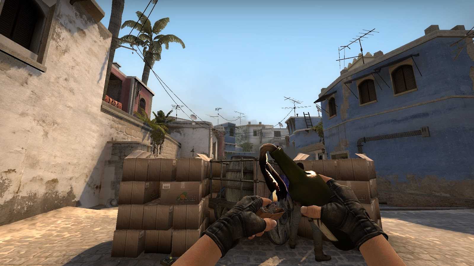 Behind the Crosshair: Embracing the CSGO Support Role Like a Pro