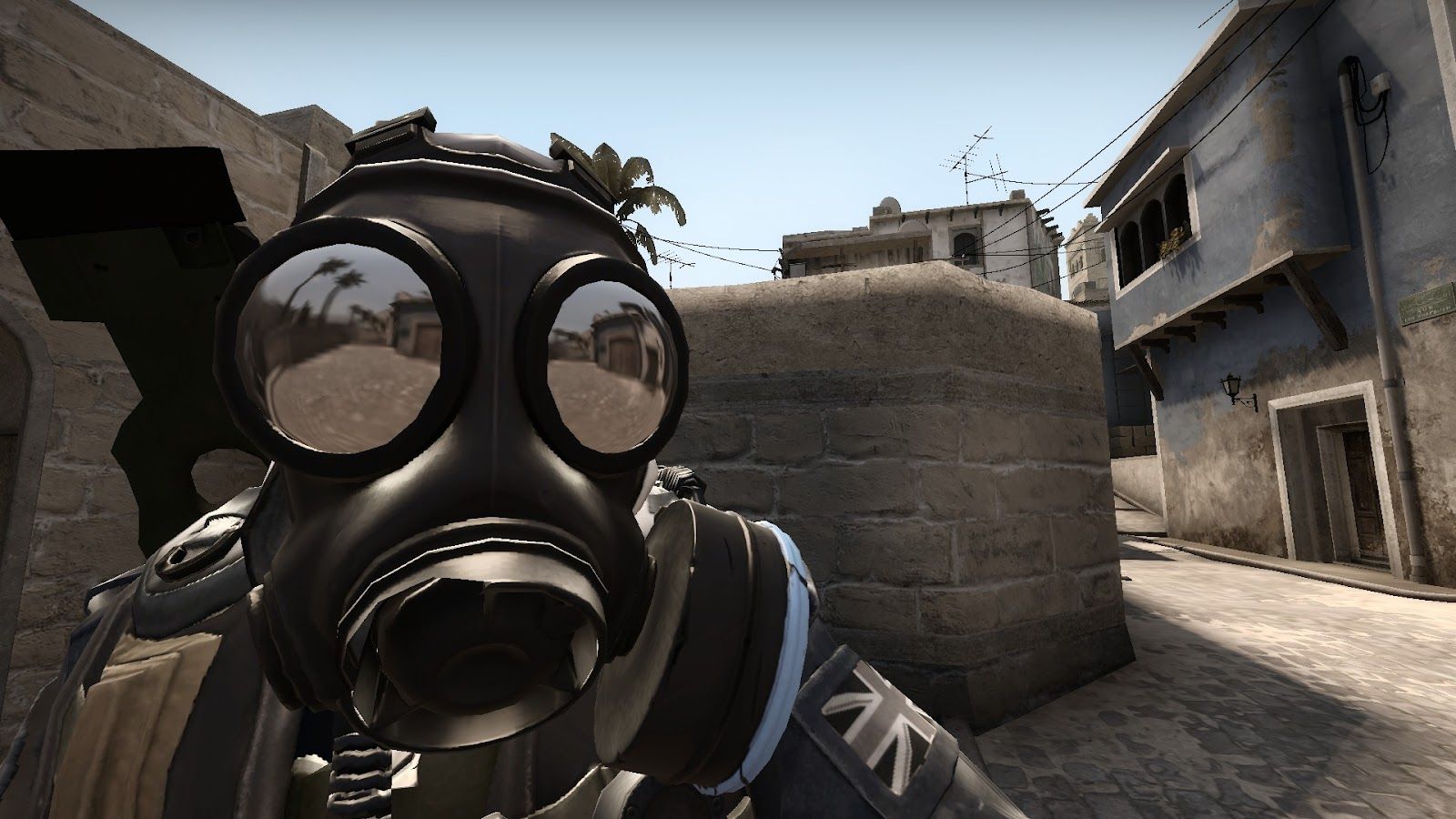 Behind Every Frag: The CSGO Support Role's Silent Impact