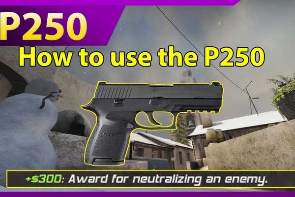 In-Depth Look: How to Use the P250 Effectively | Dignitas