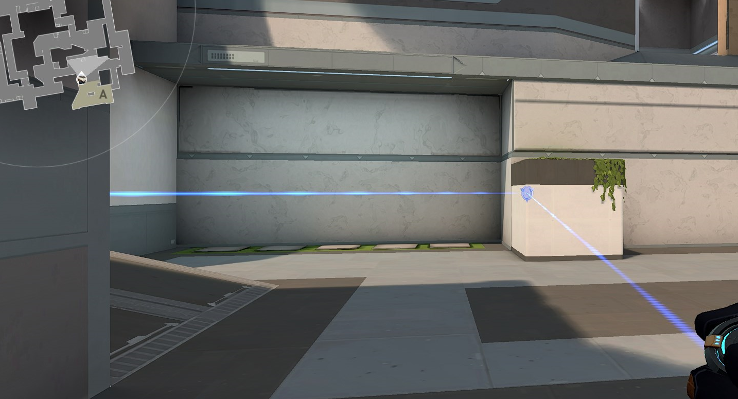 Snake Your Way on Split: A Simple to Follow Cypher Setup Guide on Split ...
