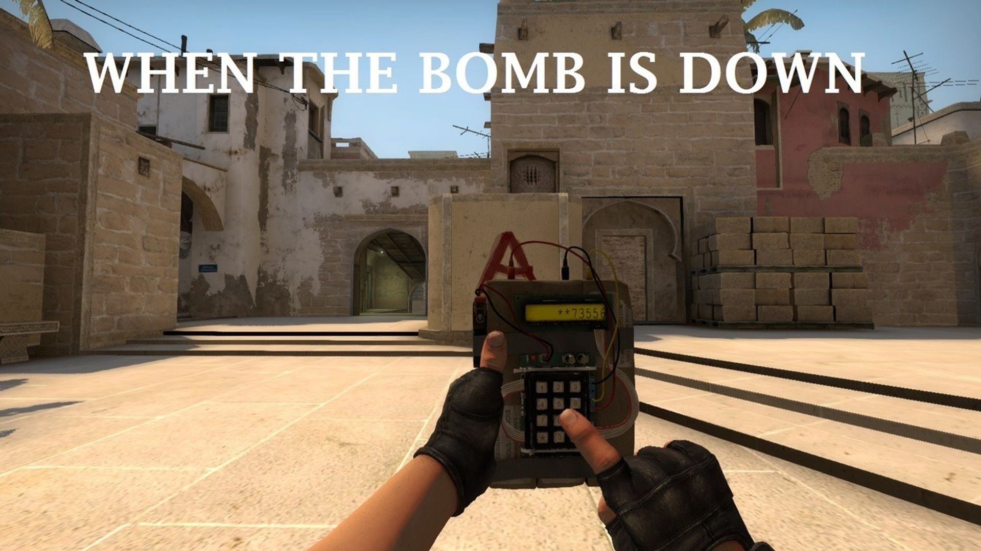 When Bomb Is Down: An In-Depth Guide on How to Afterplant Dignitas