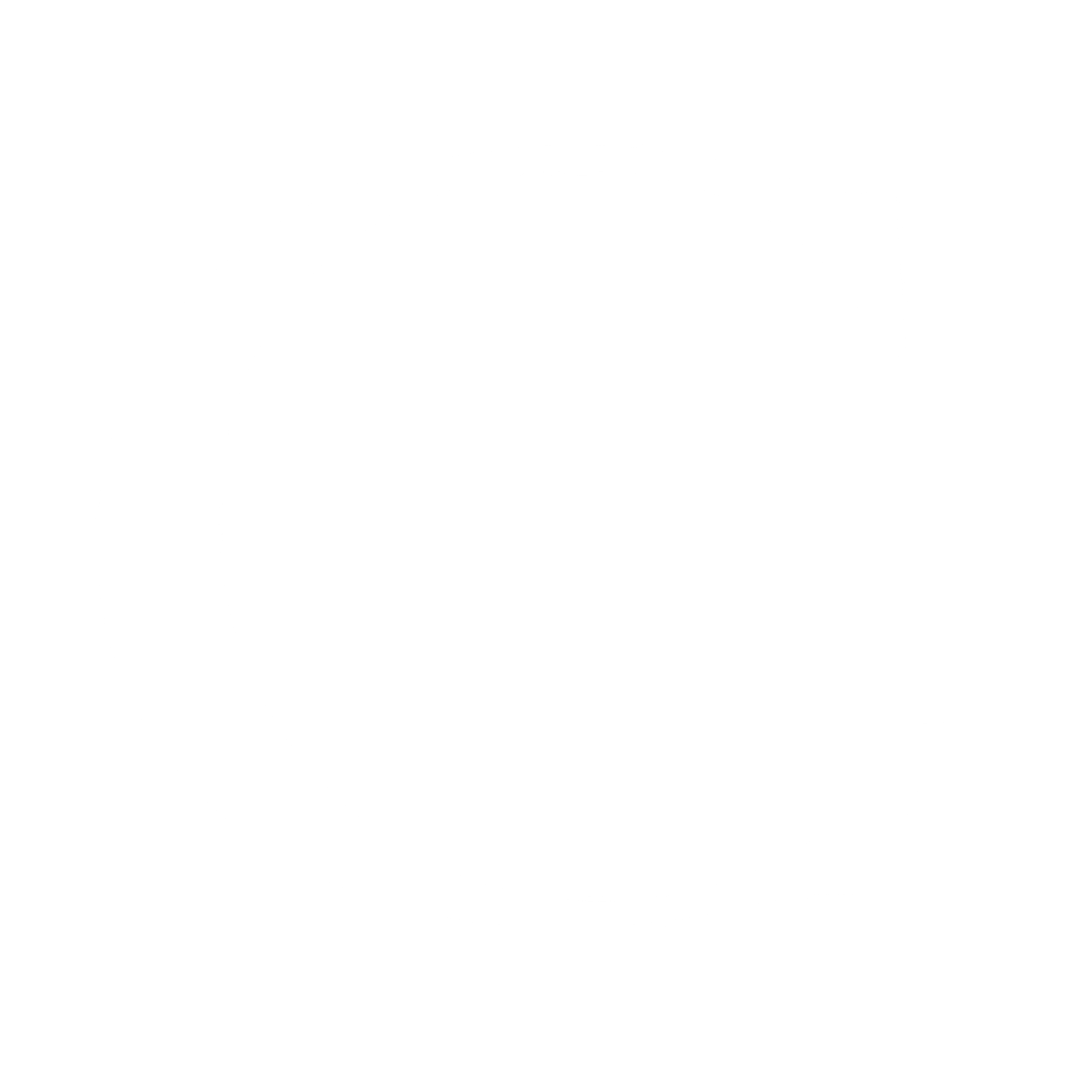 image-45d887d902069d7a2569cf2ec463821dad81c922-400x400-png