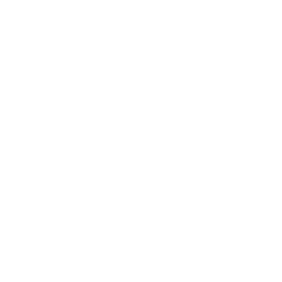 image-45d887d902069d7a2569cf2ec463821dad81c922-400x400-png