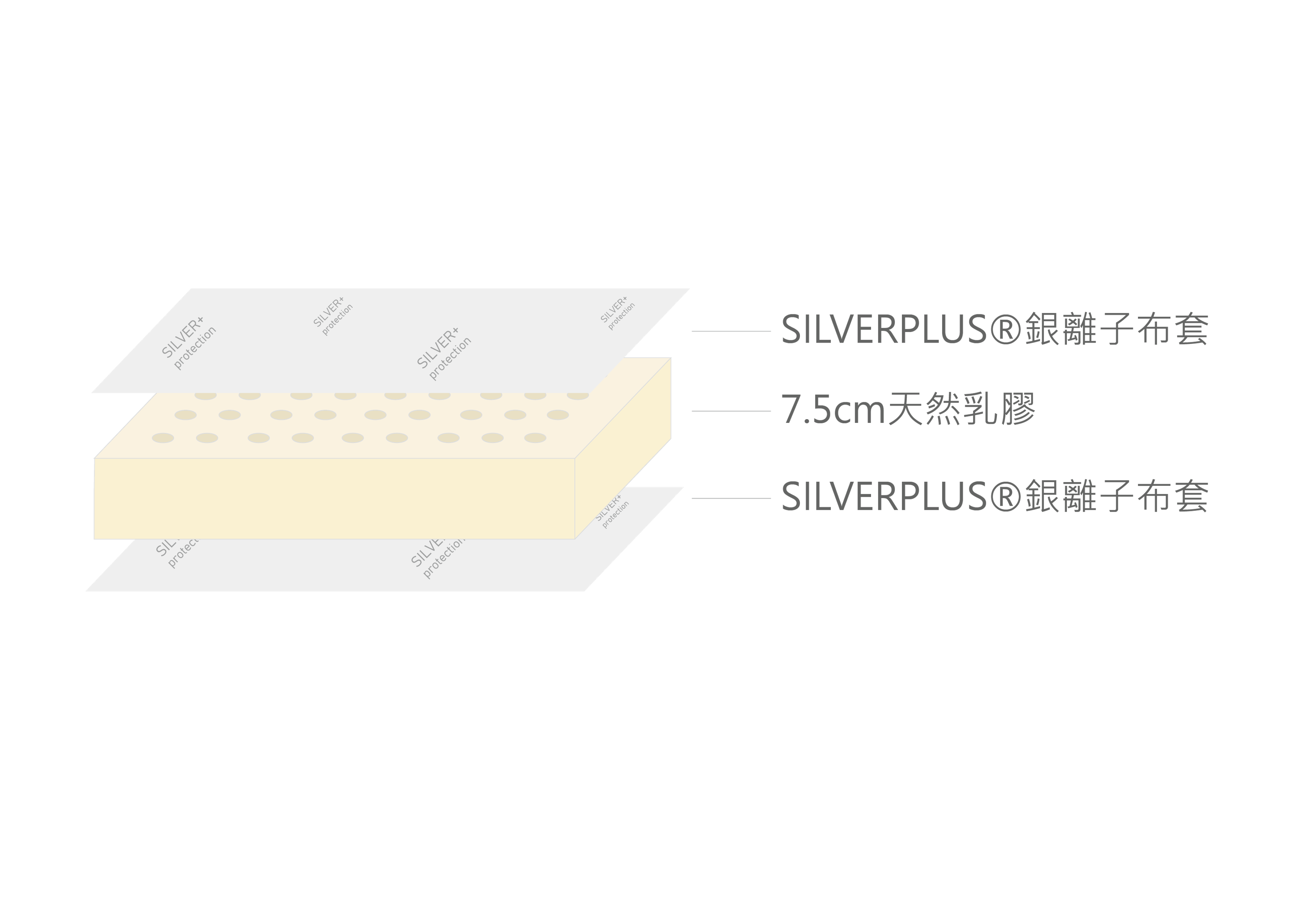 Full Width Image