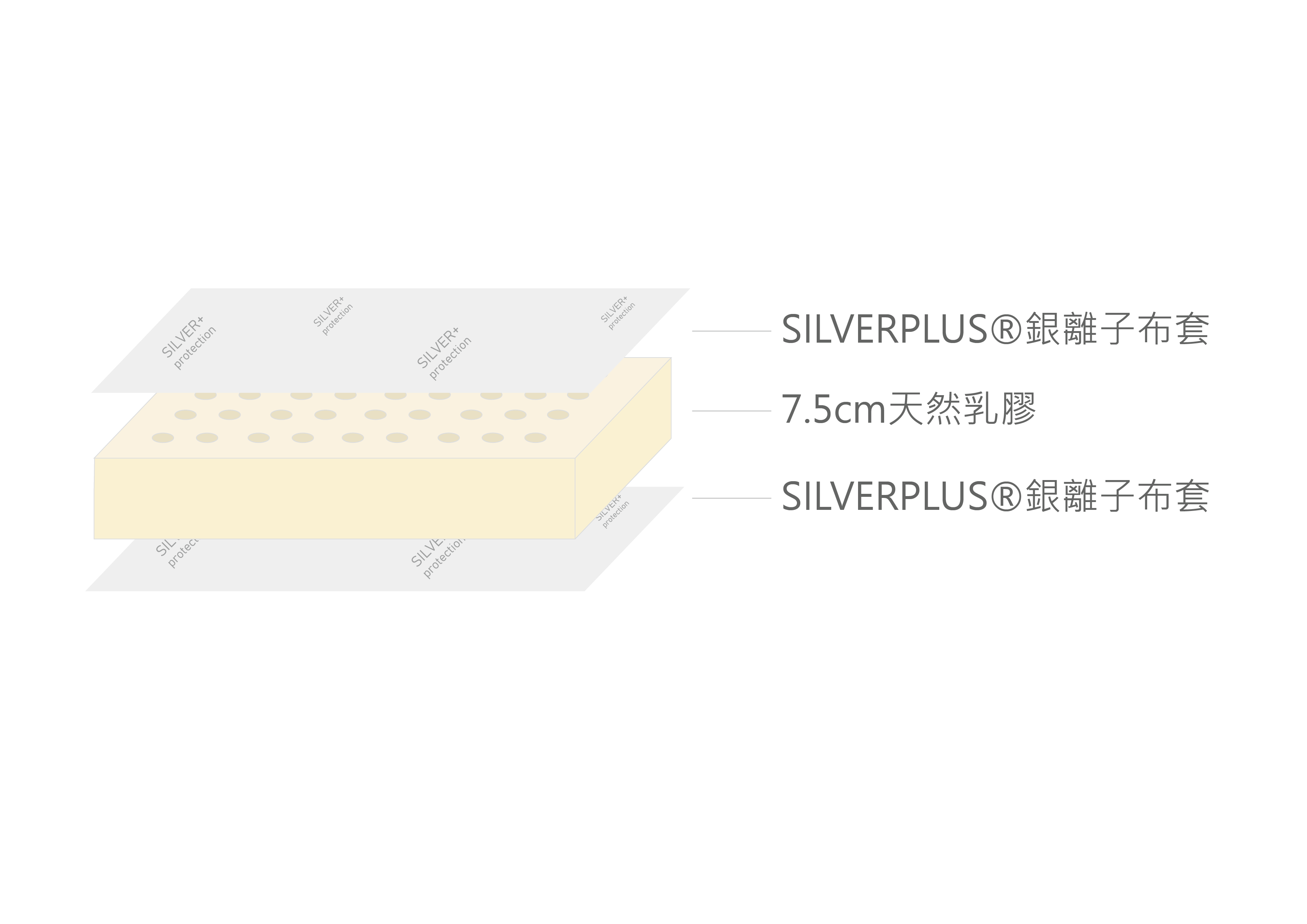 Full Width Image
