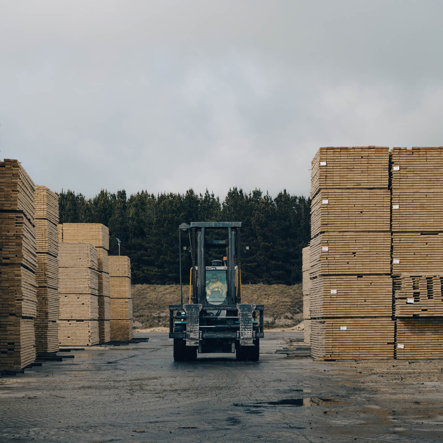 A forklift driving through our Bombala timber yard, between stacks of timbers
