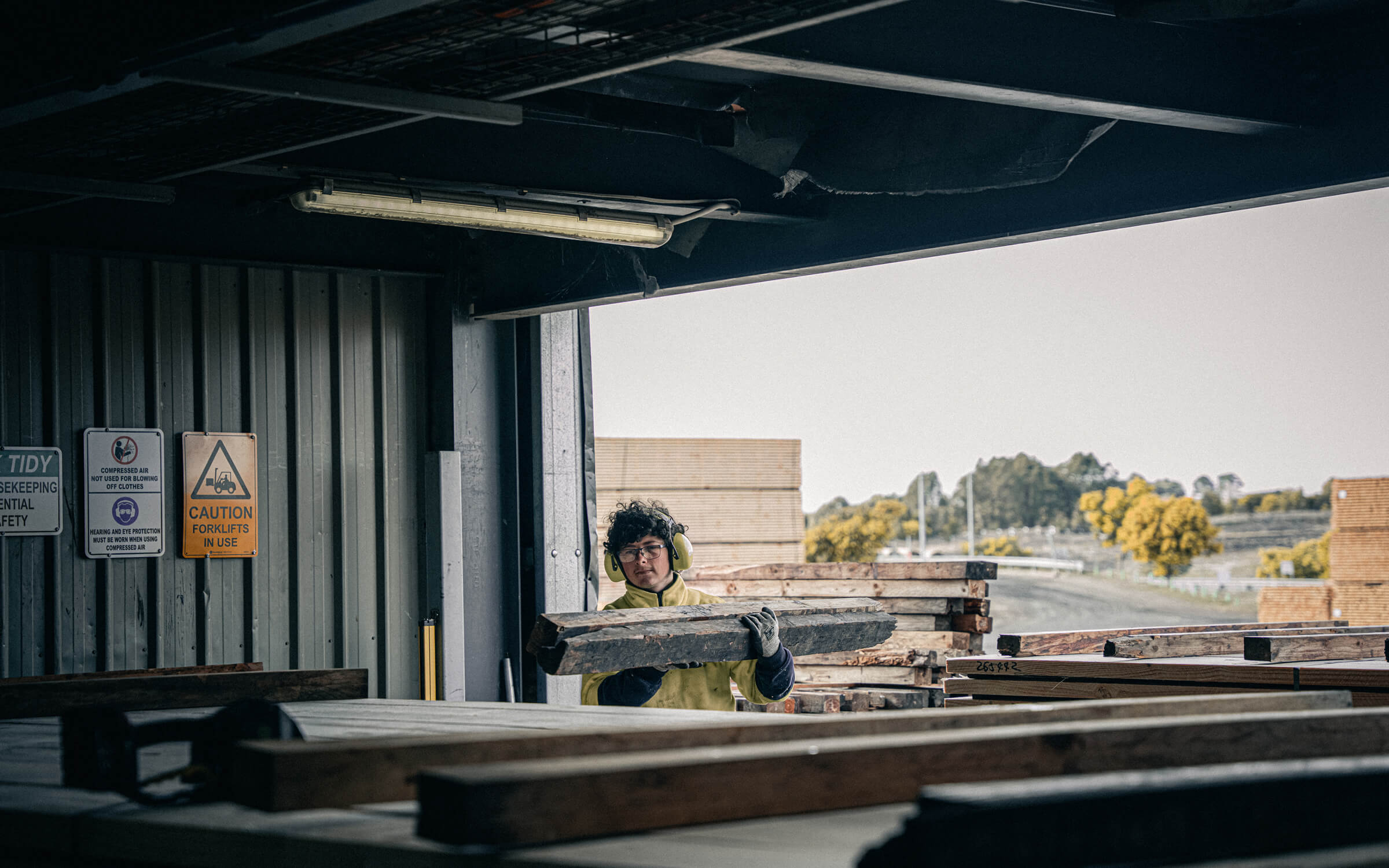 Timber logs being prepared