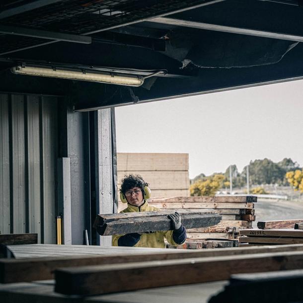 Timber logs being prepared