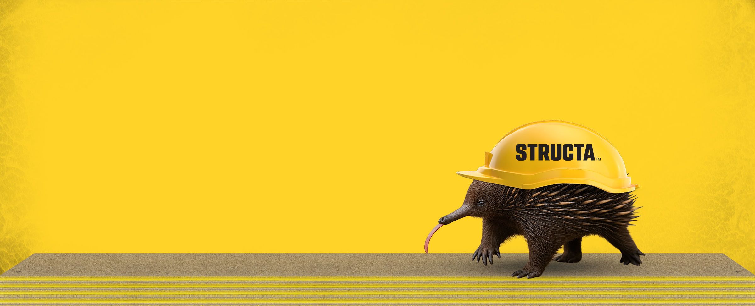 STRUCTAflor® campaign image of an echidna wearing a hard hat, walking on STRUCTAflor®