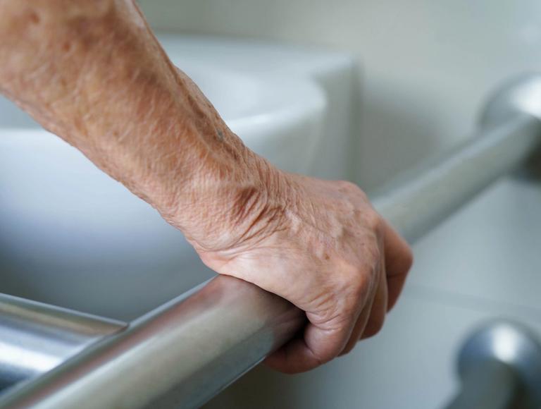 The Superior Panel for Liveable Housing Design